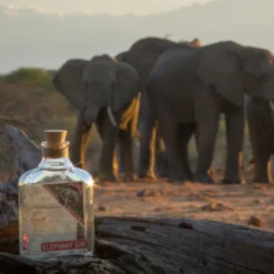 Elephant Gin London Dry 500ml 7 Elephant Gin London Dry 500ml -The Savanna 7 0e28b957 b59b 4568 9b3a aa47b26840b8