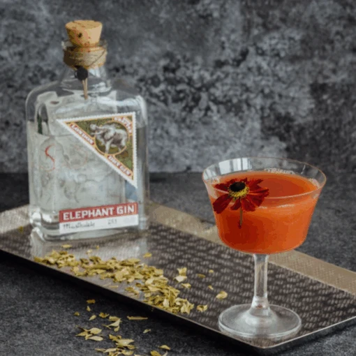 The Savanna -The Savanna 6 510x510 1